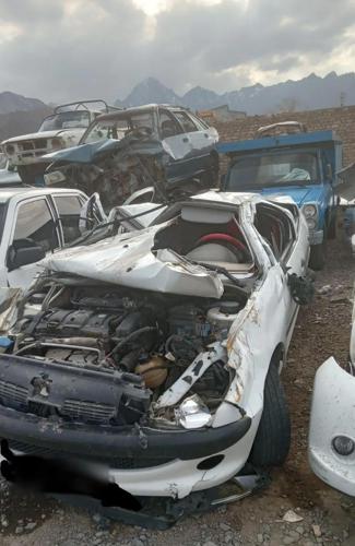 پژو 206 SD V8، مدل ۱۳۹۳