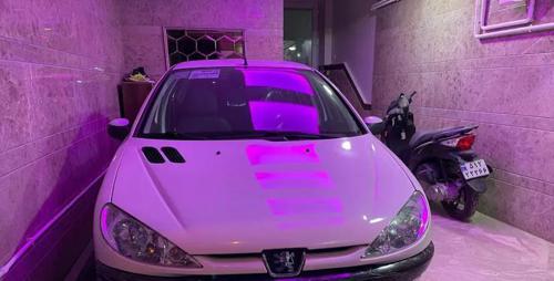پژو 206 SD V8، مدل ۱۳۸۸