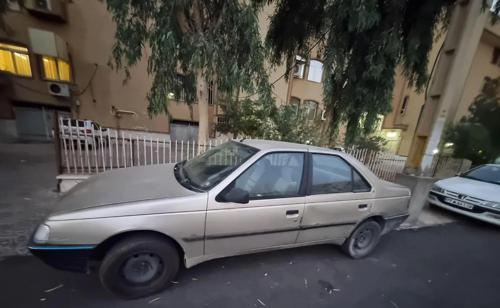 پژو 405 GLX بنزینی، مدل ۱۳۸۳