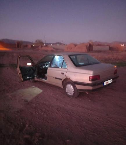 پژو 405 GLX بنزینی، مدل ۱۳۸۳
