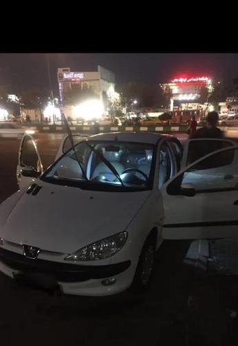 پژو 206 تیپ ۲، مدل ۱۳۸۸