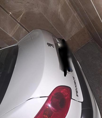 پژو 206 SD V8، مدل ۱۳۹۸