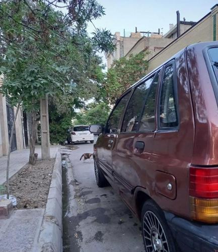 پراید هاچبک، مدل ۱۳۸۵