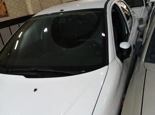 پژو 206 SD V8، مدل ۱۳۹۵