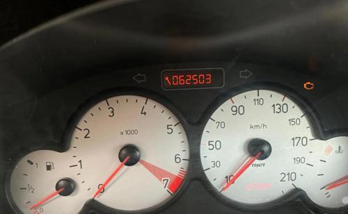 پژو 206 SD V8، مدل ۱۳۹۵