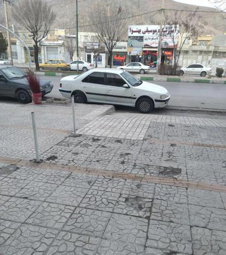 پژو پارس ساده، مدل ۱۳۸۸