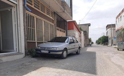پژو 405 GLX - دوگانه سوز CNG، مدل ۱۳۸۹