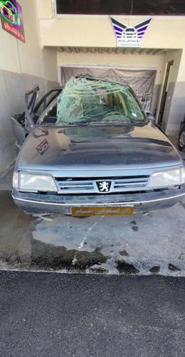 پژو 405 GLX - دوگانه سوز CNG، مدل ۱۳۹۴