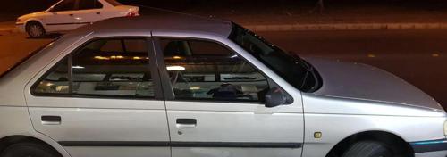 پژو 405 GLX بنزینی، مدل ۱۳۸۷