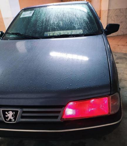 پژو 405 GLX - دوگانه سوز CNG، مدل ۱۳۸۹