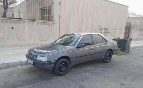 پژو 405 GLX - دوگانه سوز LPG، مدل ۱۳۸۹