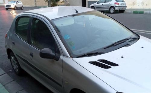 پژو 206 فرانسه ، خانگی