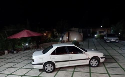 پژو پارس ساده، مدل ۱۳۸۷