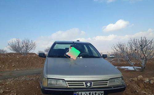 پژو 405 GLX بنزینی، مدل ۱۳۸۴