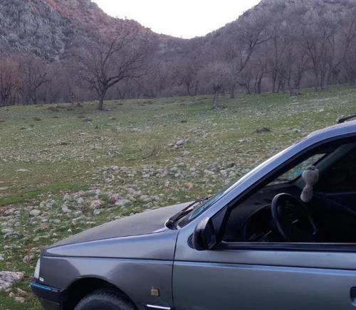 پژو 405 GLX بنزینی، مدل ۱۳۸۷