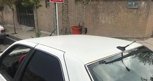 پژو پارس روپا