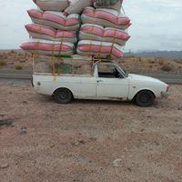 پیکان دوگانه سوز CNG، مدل ۱۳۹۱