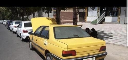 پژو 405 GLX بنزینی، مدل ۱۳۸۷