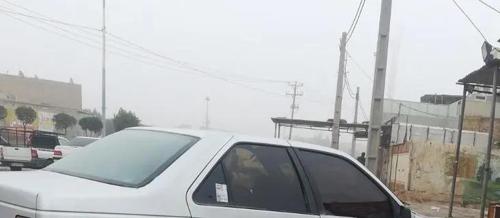 پژو 405 دوگانه سوز