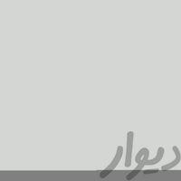 پژو ٤٠٥