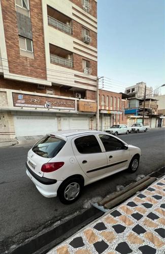 پژو 206 تیپ ۲، مدل ۱۳۸۸