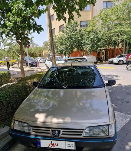 پژو 405 GLX - دوگانه سوز CNG، مدل ۱۳۸۴