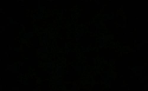 پیکان دوگانه سوز CNG، مدل ۱۳۷۷