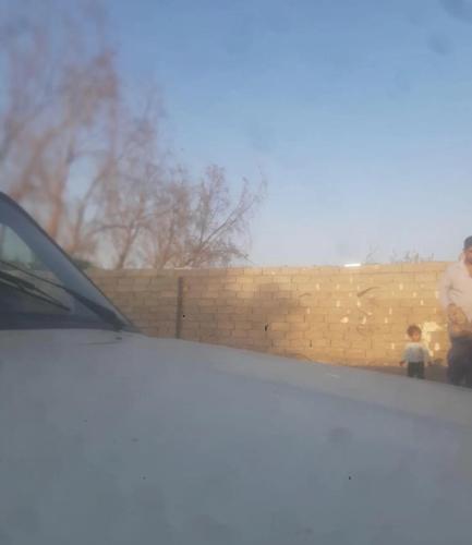 پیکان بنزینی، مدل ۱۳۸۱