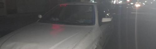 سمندمعمولی گازسوز، مدل ۱۳۸۸