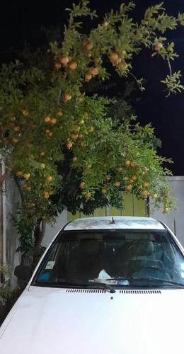 پراید صندوق‌دار CNG، مدل ۱۳۸۷