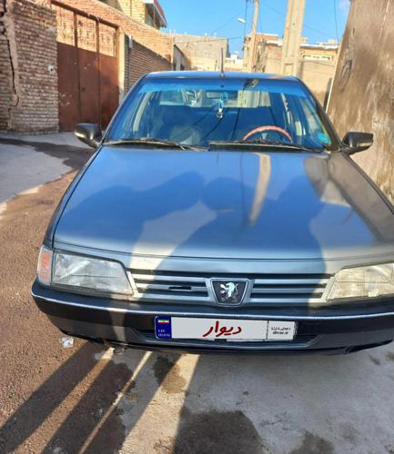 پژو 405 GLX - دوگانه سوز CNG، مدل ۱۳۸۷