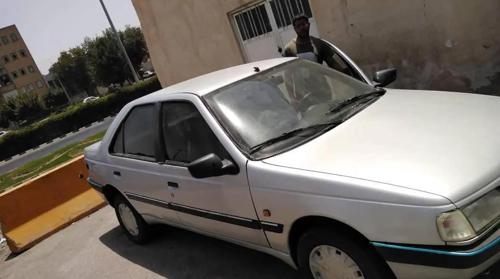 پژو 405 GLX - دوگانه سوز CNG، مدل ۱۳۸۴