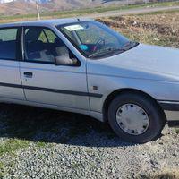 پژو 405 GLX - دوگانه سوز CNG، مدل ۱۳۸۹
