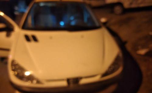 پژو 206 SD V8، مدل ۱۳۹۴