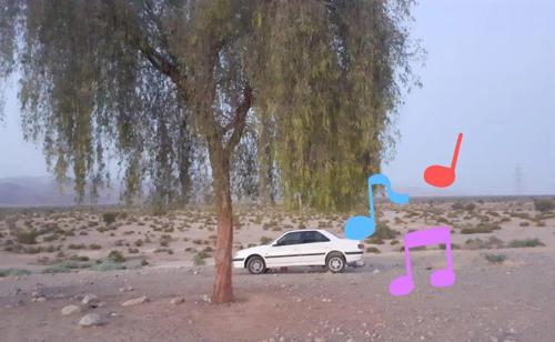 پژو پارس سال، مدل ۱۴۰۰. دارای کارت طلایی