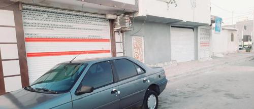 پژو 405 GLX - دوگانه سوز CNG، مدل ۱۳۸۹