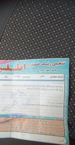 پژو پارس دوگانه سوز، مدل ۱۳۸۷