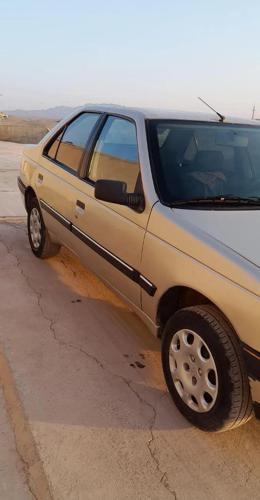 پژو 405 GLX - دوگانه سوز CNG، مدل ۱۳۸۳