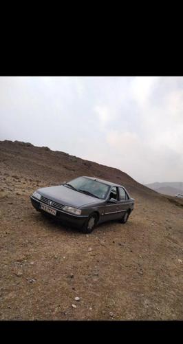 پژو 405 GL - دوگانه سوز CNG، مدل ۱۳۹۱