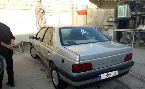 پژو 405 GLX - دوگانه سوز CNG، مدل ۱۳۸۹