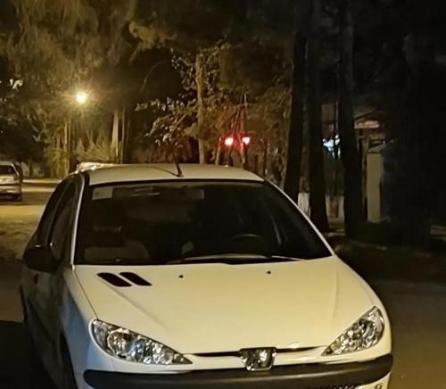 پژو 206 تیپ ۲، مدل ۱۳۹۹