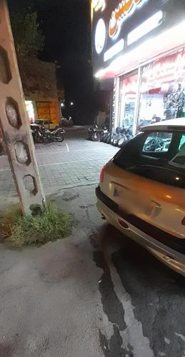 خودرو پژو ۲۰۶ تیپ ۲