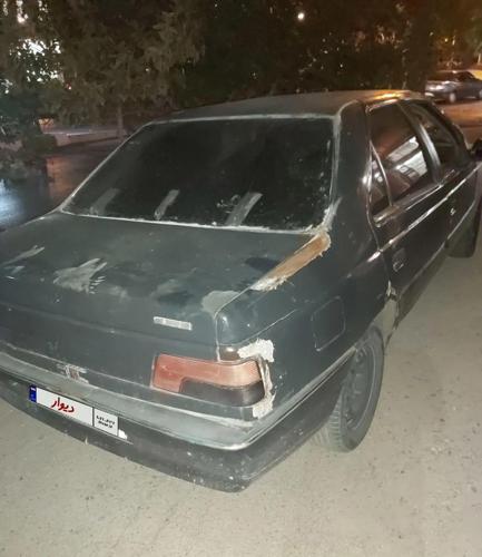 پژو 405 GLi - دوگانه سوز LPG، مدل ۱۳۸۴