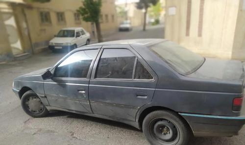 پژو 405 GLX - دوگانه سوز LPG، مدل ۱۳۷۴