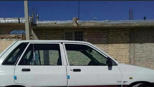 هاچبک