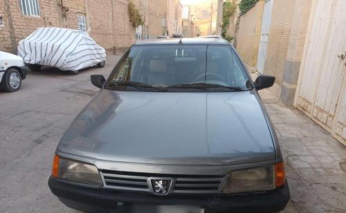 پژو 405 GLX - دوگانه سوز CNG، مدل ۱۳۹۰