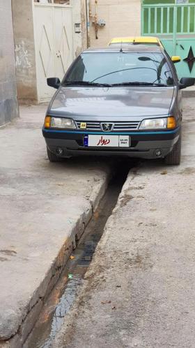 پژو 405 GLX - دوگانه سوز CNG، مدل ۱۳۸۸