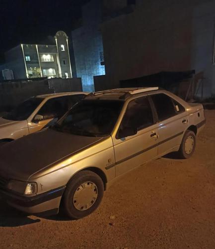 پژو 405 GLX - دوگانه سوز CNG، مدل ۱۳۹۱