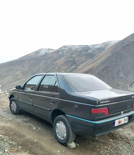 پژو 405 GLX - دوگانه سوز CNG، مدل ۱۳۸۹
