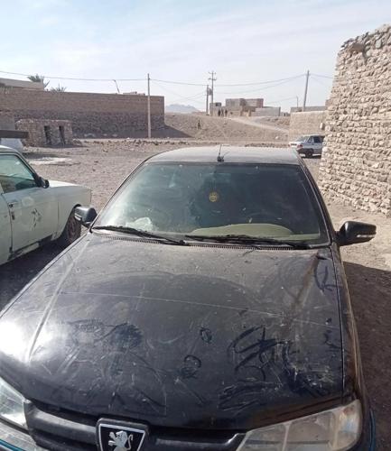پژو پارس ساده، مدل ۱۳۸۱